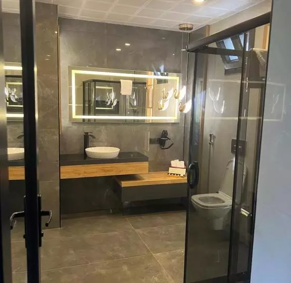 Aamiaismajoitus (B&B) Yazici Premium