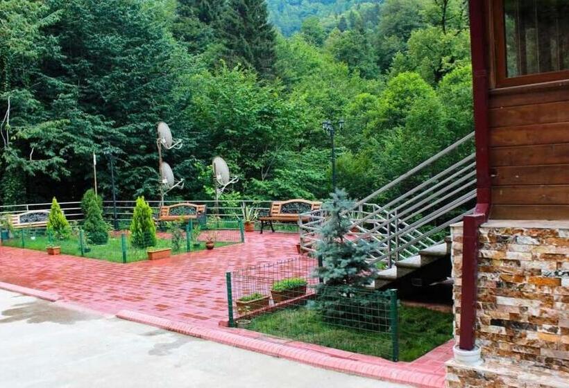 هتل Sairme Palace