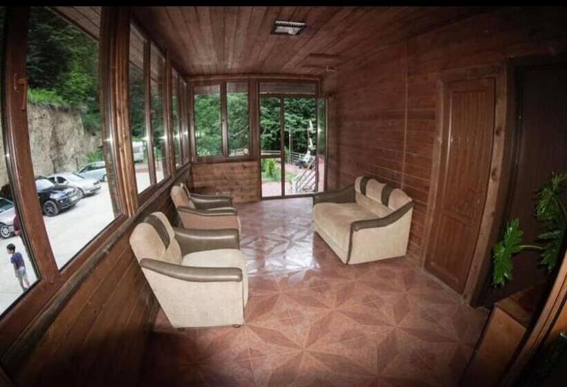 هتل Sairme Palace