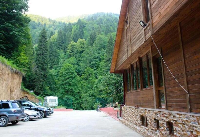 هتل Sairme Palace