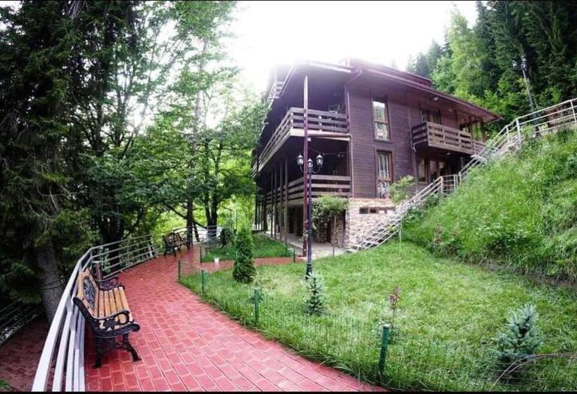 هتل Sairme Palace