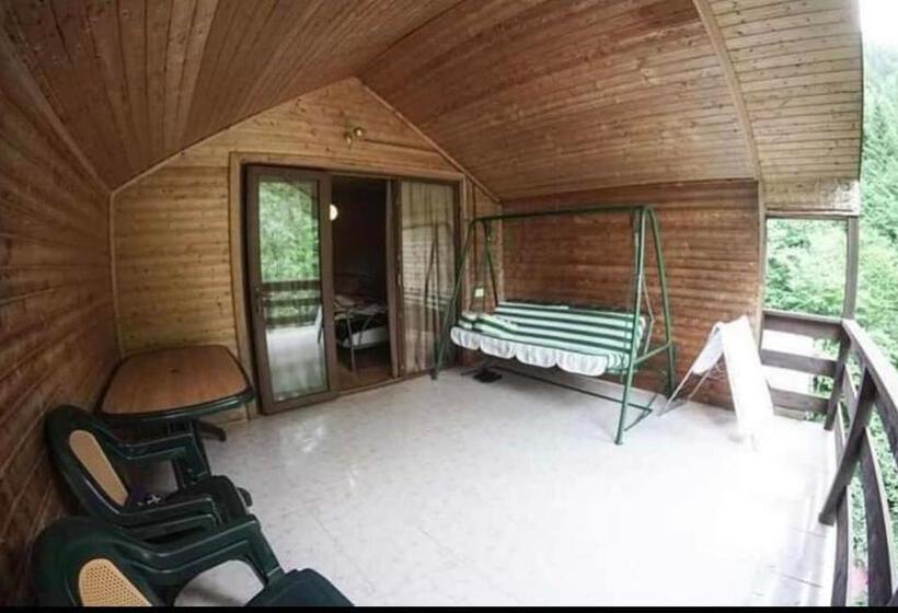 هتل Sairme Palace