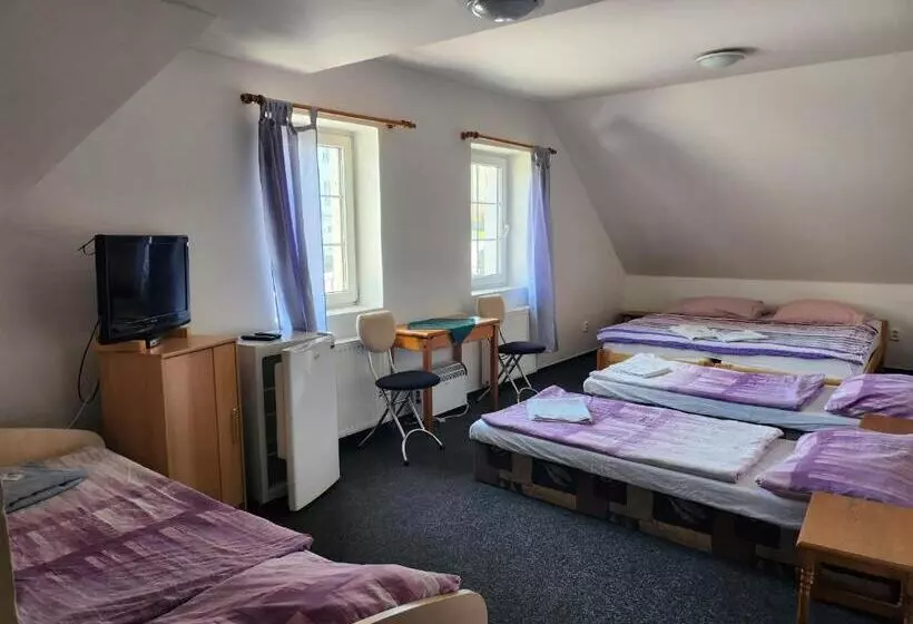 Majatalo Penzion U Martina