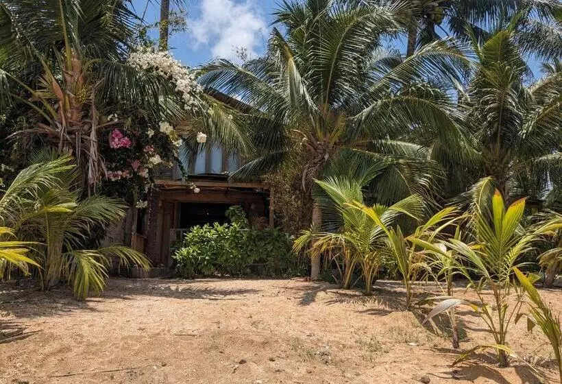 پانسیون Rorys Beach Bar