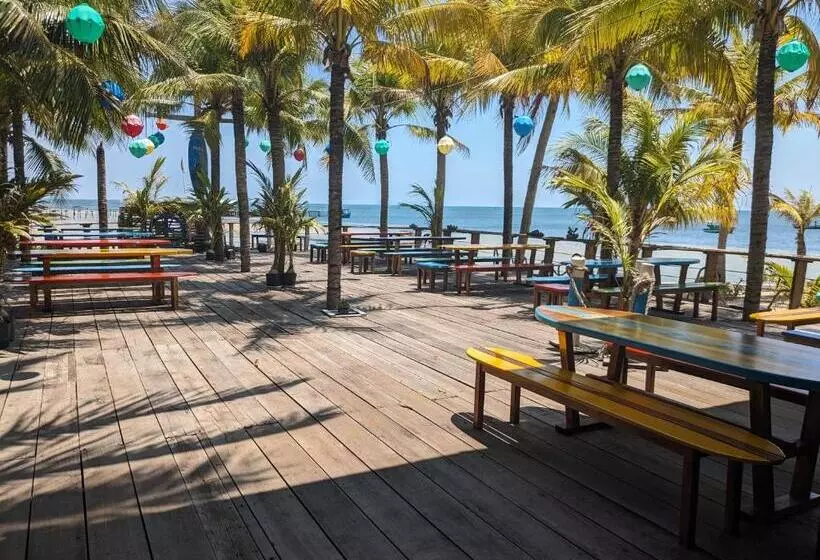 پانسیون Rorys Beach Bar