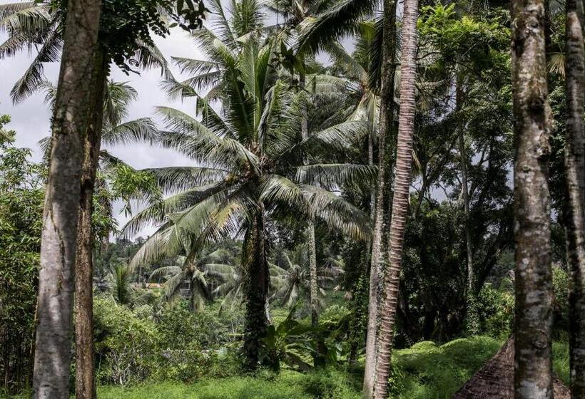 Пансион Umah Cengkeh Villa