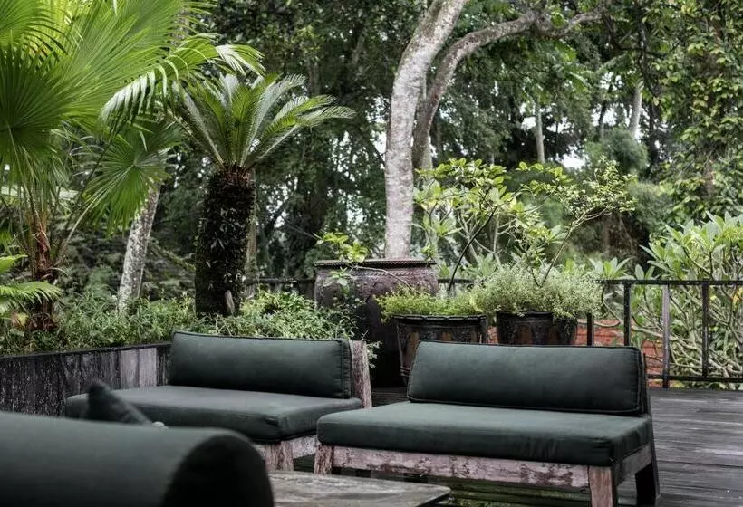 ペンション Umah Cengkeh Villa