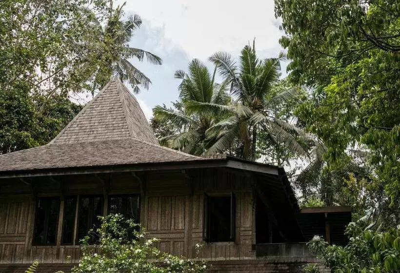 ペンション Umah Cengkeh Villa