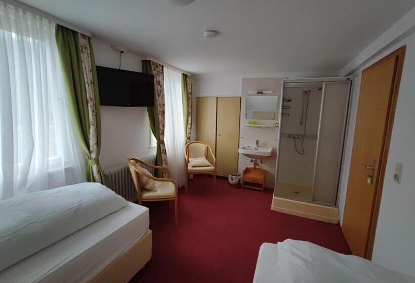 Room In Guest Room   Pension Forelle   Double Room