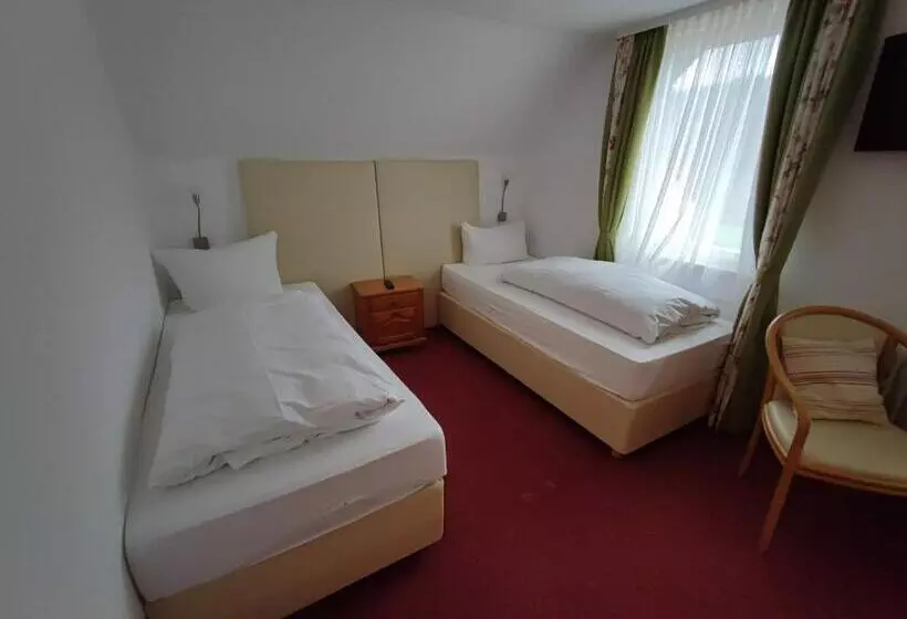 Room In Guest Room   Pension Forelle   Double Room