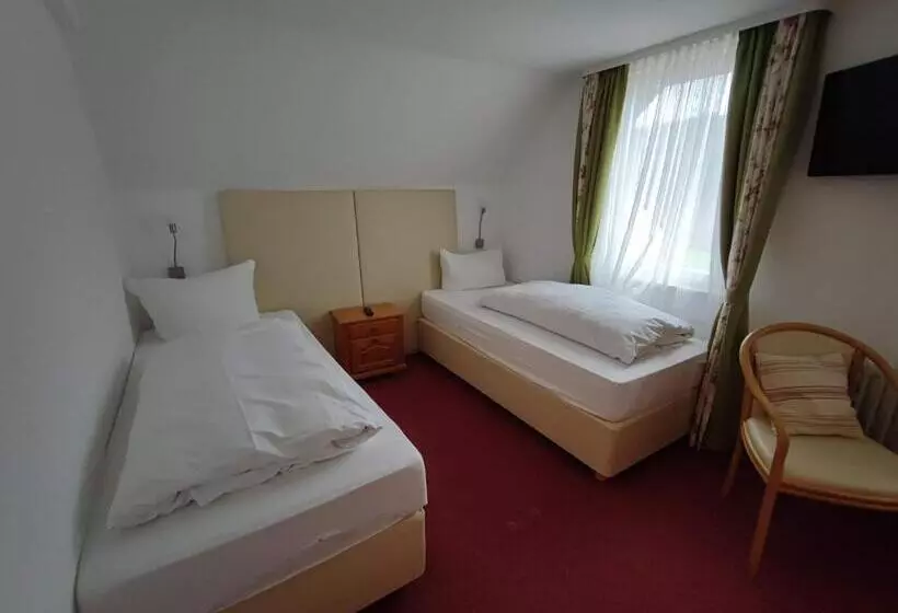 Room In Guest Room   Pension Forelle   Double Room
