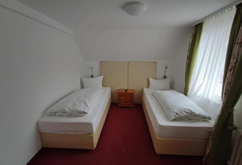 Room In Guest Room   Pension Forelle   Double Room