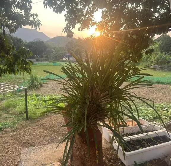 تختخواب و صبحانه Peaceful Maichau Homestay