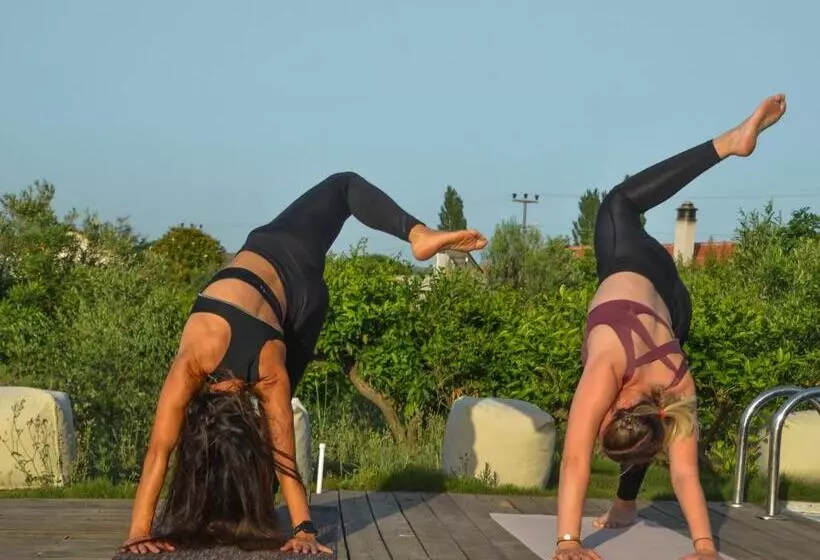 Hotelli Quonset Glamping