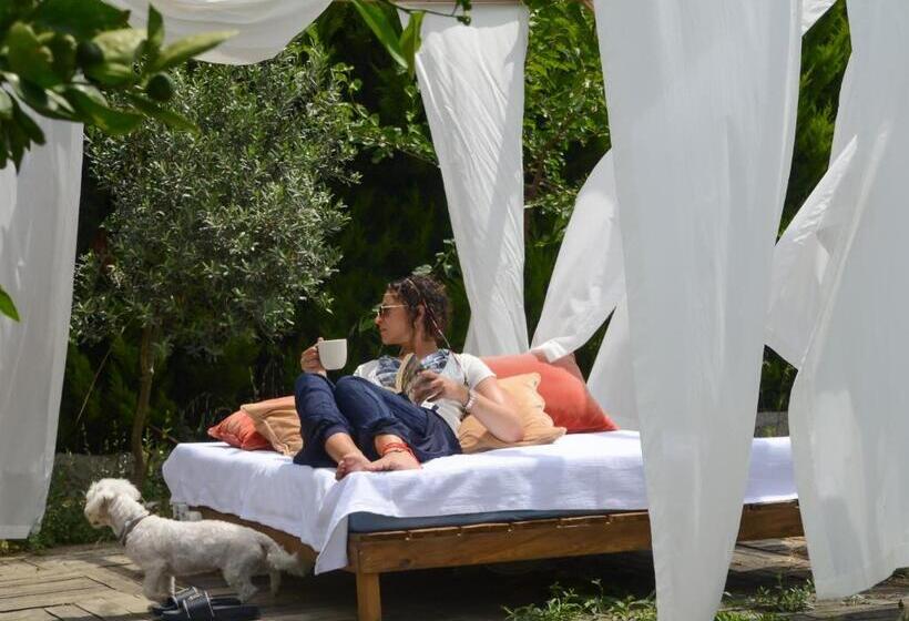 Отель Quonset Glamping