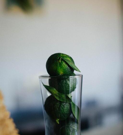 Отель Quonset Glamping