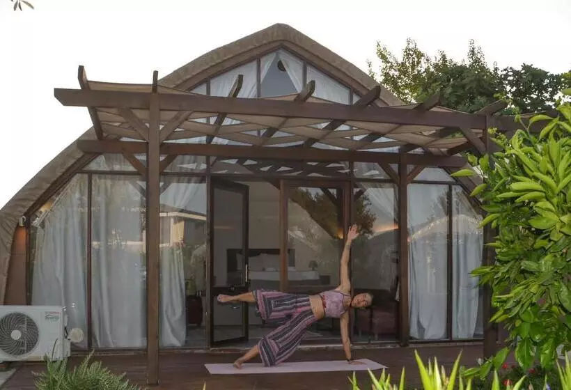 Hotelli Quonset Glamping