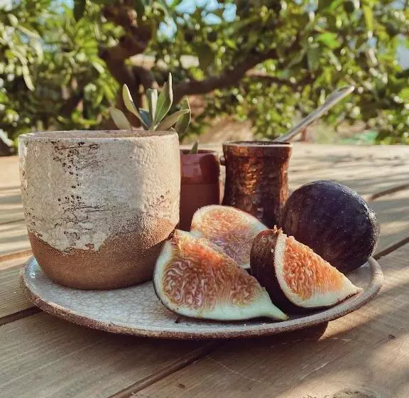 Hotelli Quonset Glamping