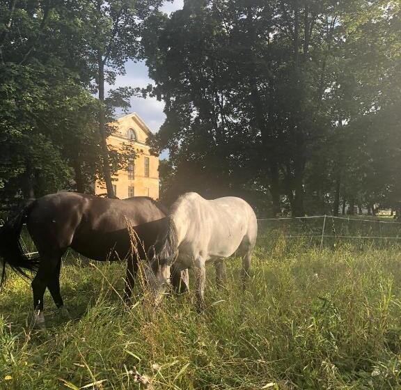 پانسیون Ontika Guesthouse