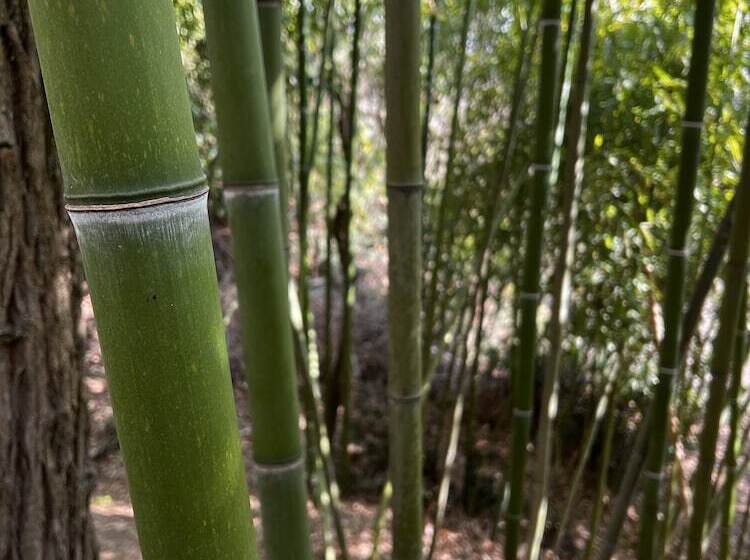 צימר Agriturismo Rio Verde