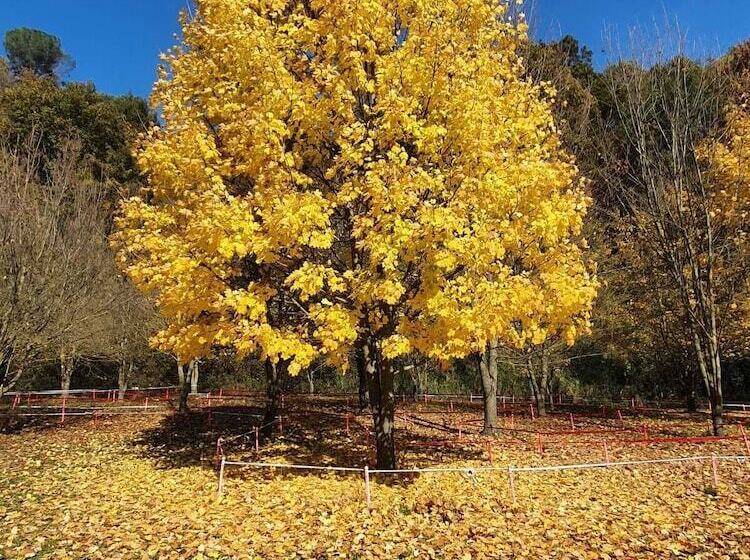 צימר Agriturismo Rio Verde