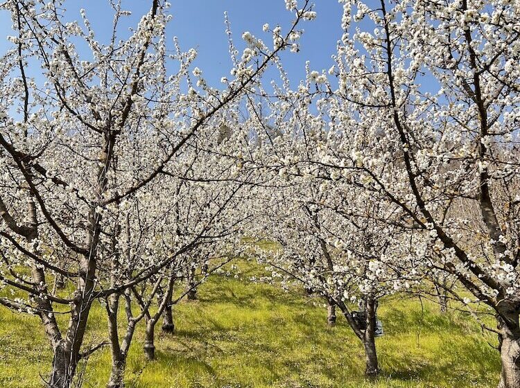 צימר Agriturismo Rio Verde