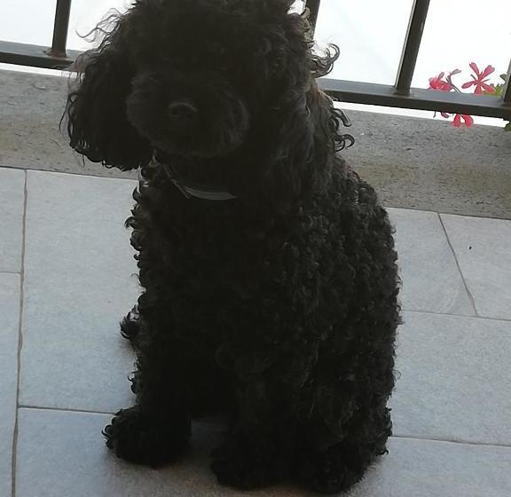 B&b La Casetta Dei Nonni