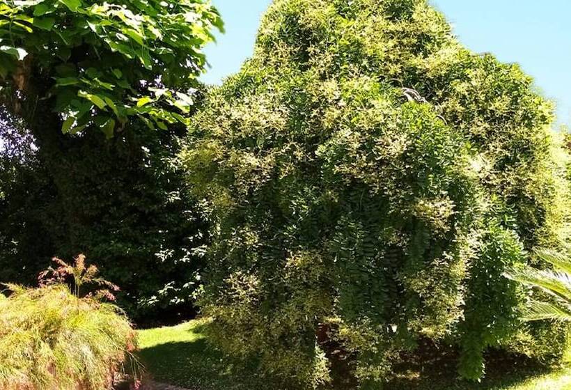 Bed and Breakfast Villa Laura