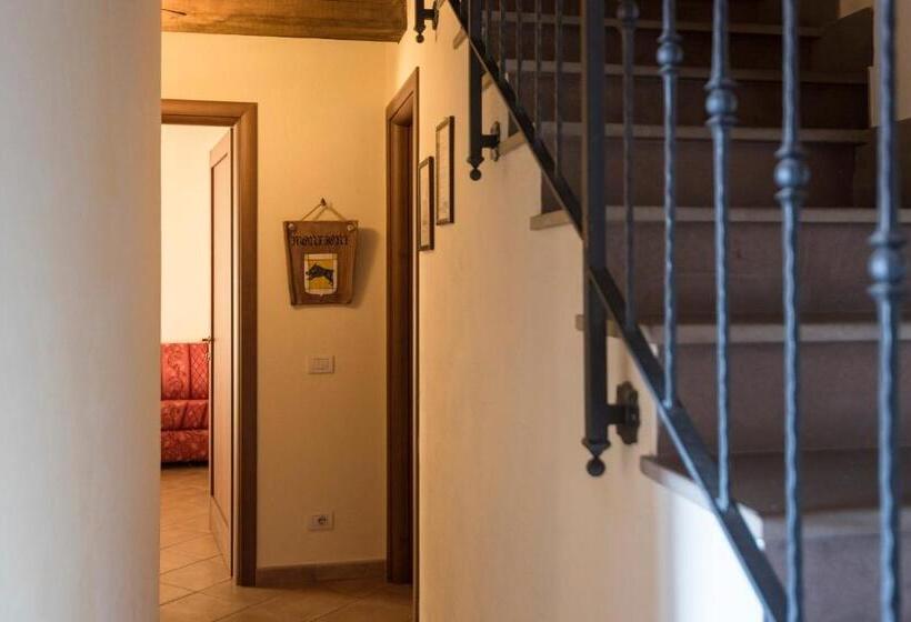Bed & Breakfast Suvereto