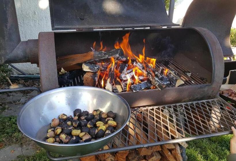 Hotel Appartements Graf Hartwig