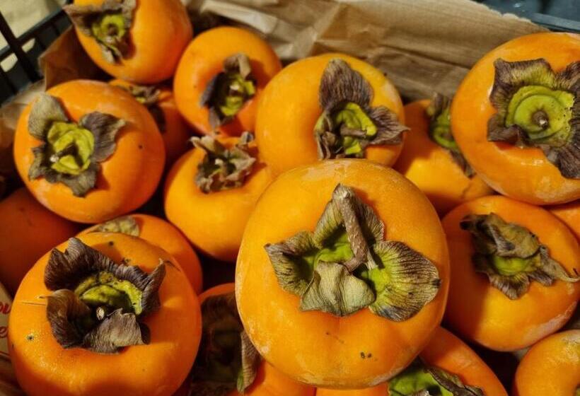 Hotel Appartements Graf Hartwig