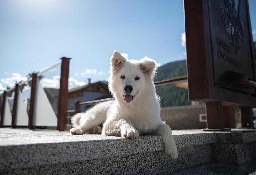 Отель Arcangelo 3 Stelle Superior