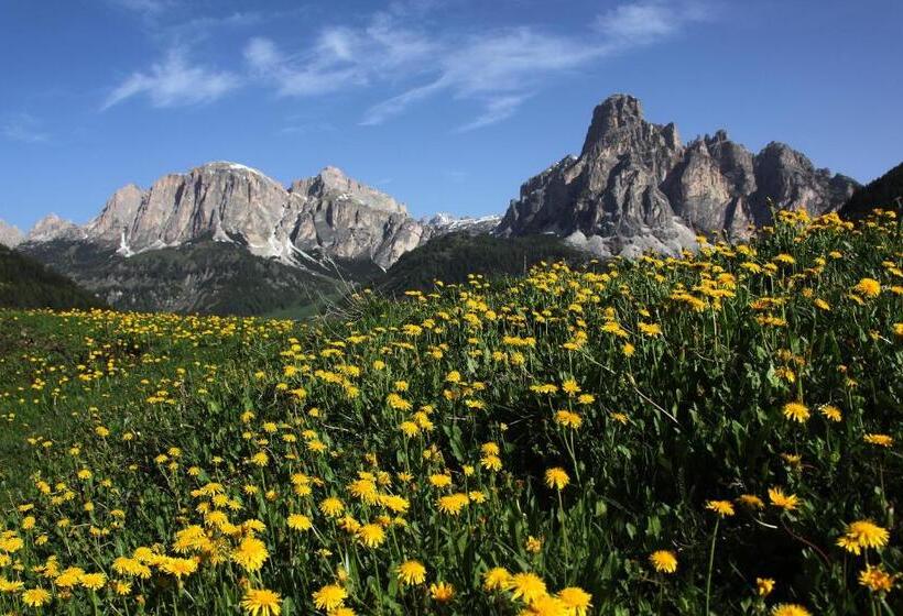 בית מלון כפרי Bel Sit