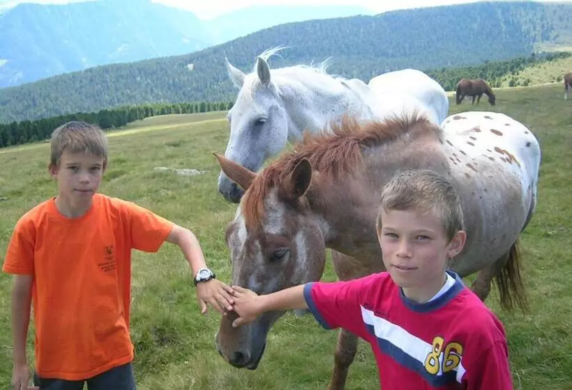 هتل Garni Panoramik