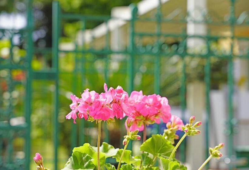 ホテル Ristorante Lepanto