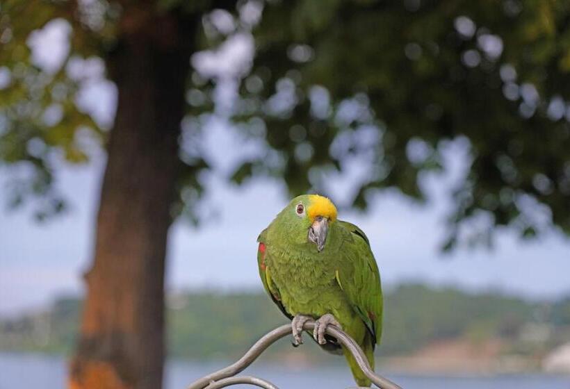 ホテル Ristorante Lepanto