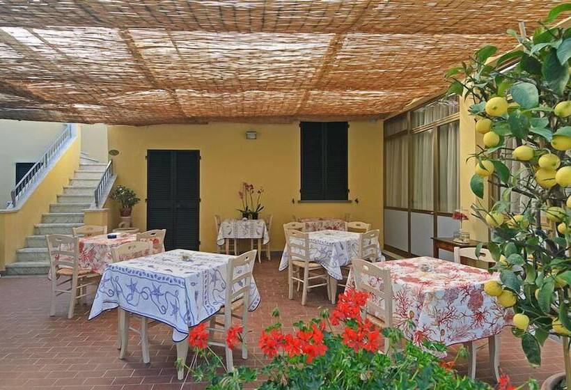 هتل Verdesolemare