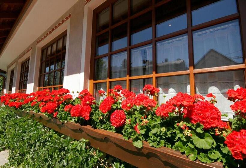 Отель Villa Monica