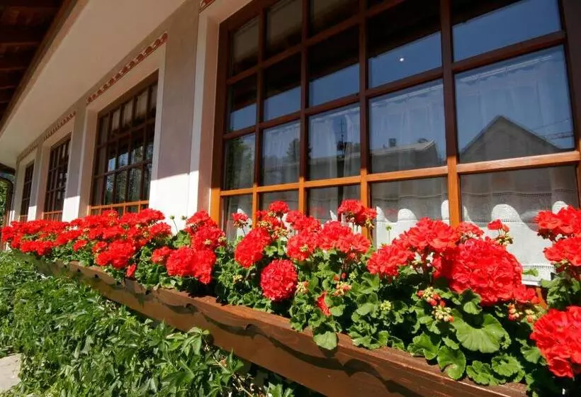 ホテル Villa Monica