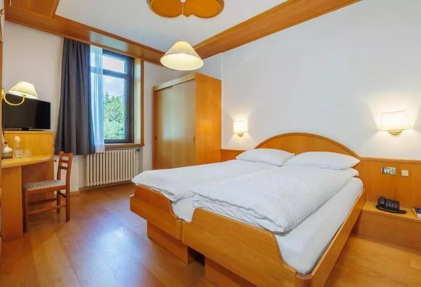Hotel Vioz