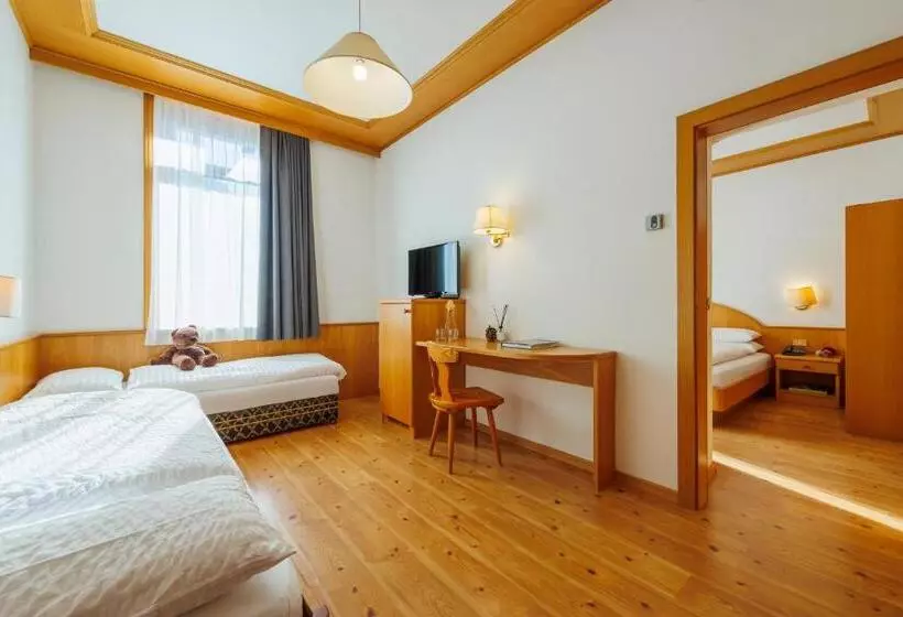 Hotel Vioz