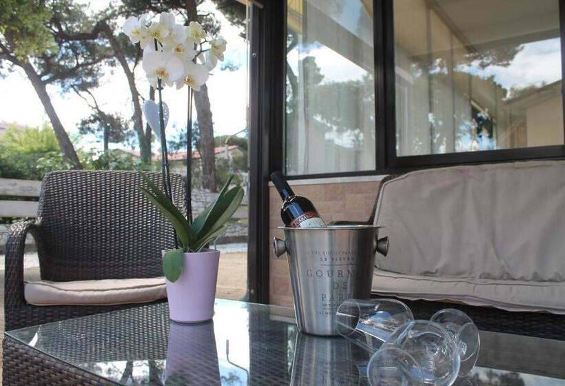 בית מלון כפרי Virginia