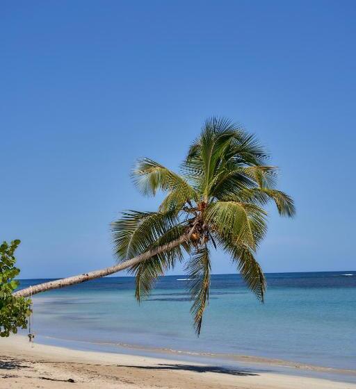 تختخواب و صبحانه Empyrean Tropical Wellness Portillo