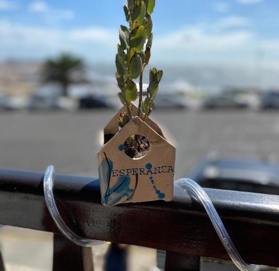 Hotel Costa Esperanza Mdq