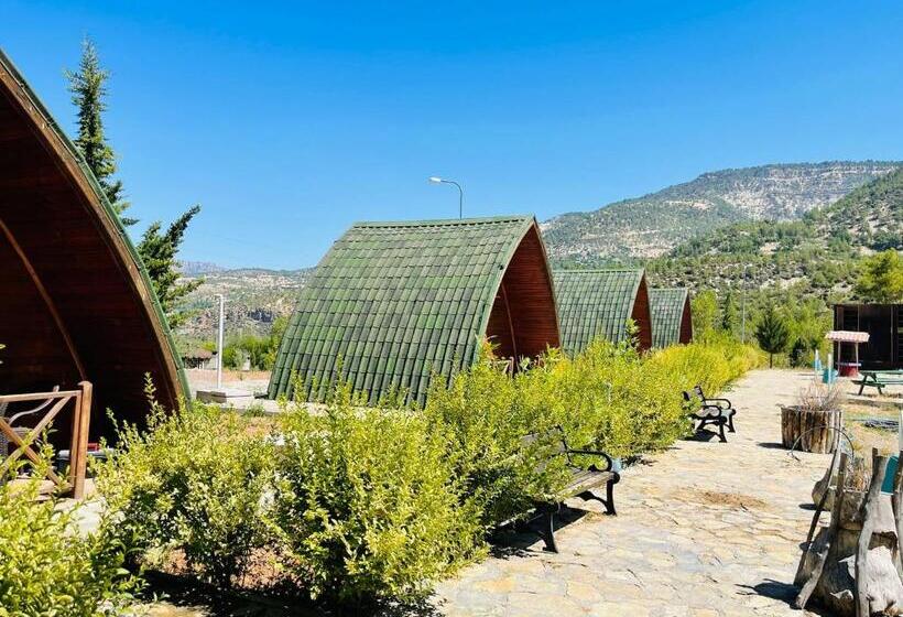 酒店 Zeyve Bungalov Tatil Köyü