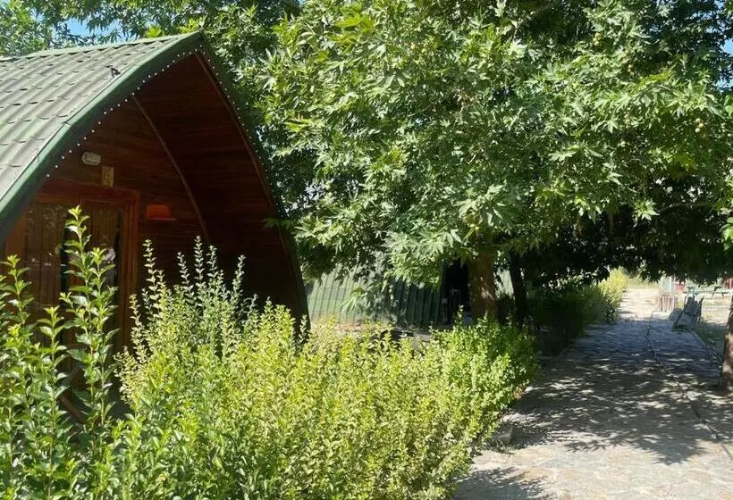 هتل Zeyve Bungalov Tatil Köyü