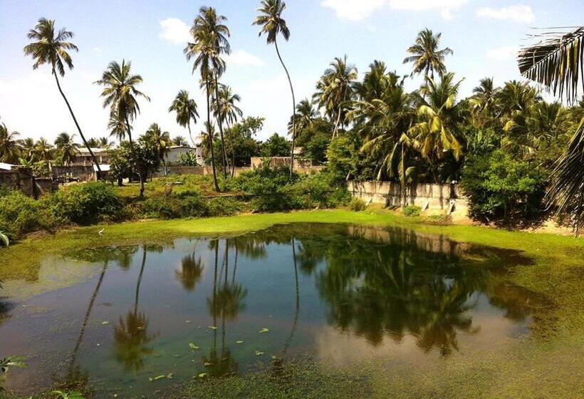 پانسیون Jaffna Lotus Inn
