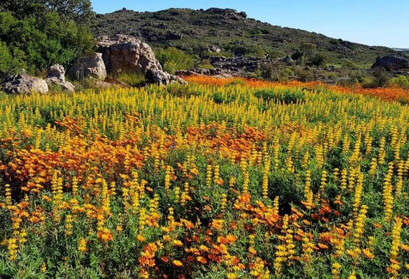 Pension Sewefontein Guest Farm