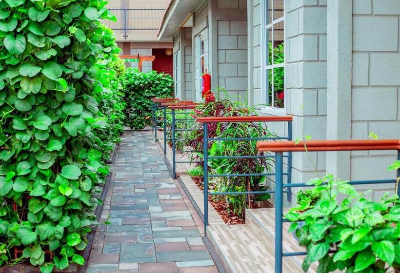 هاستل Willow Inn