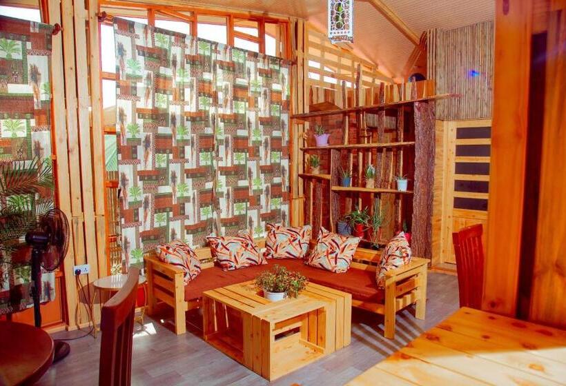 هاستل Willow Inn